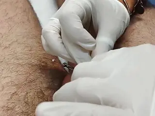 Piercing of the scrotum