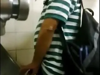 Looking for huge cocks in public toilets